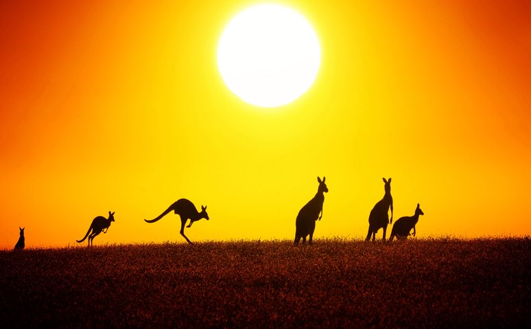 Les nuits sont maintenant plus longues que les jours en Australie