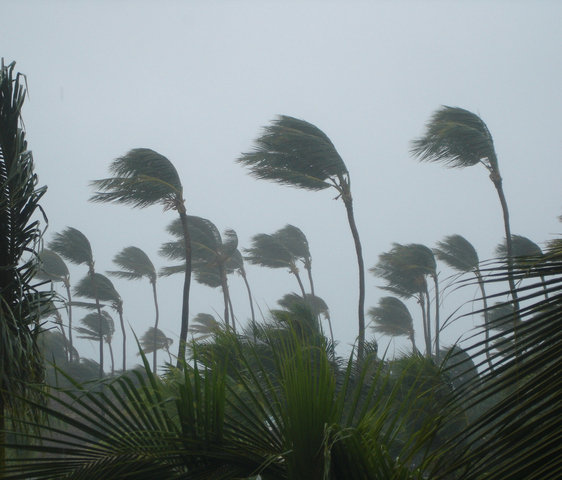 Tropical Cyclone Jasper may strike Qld coast next week