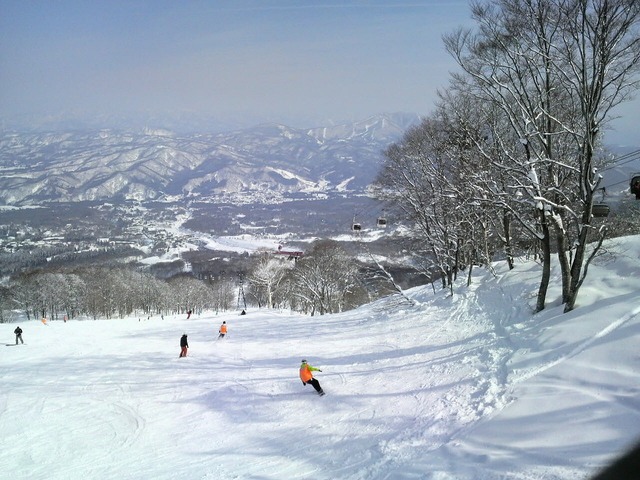 なぜオーストラリアより日本の方が雪が良いのですか?