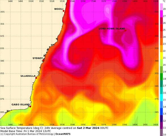 Balmy seas set to peak in New South Wales