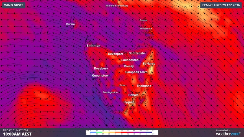Damaging wind warning for entire state of Tasmania