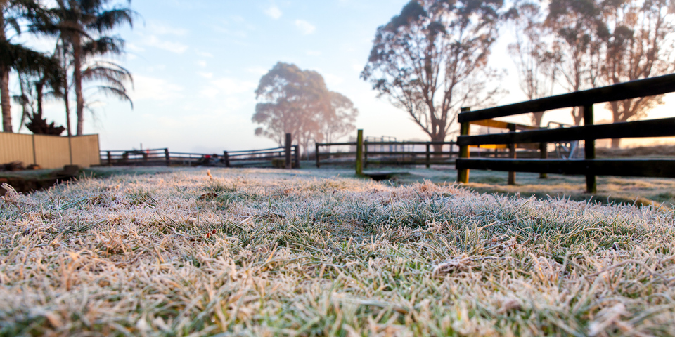 Frost in the tropics on coldest night of 2024 to date