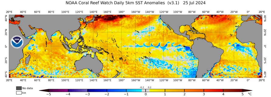 What is going on with the El Nino Southern Oscillation?