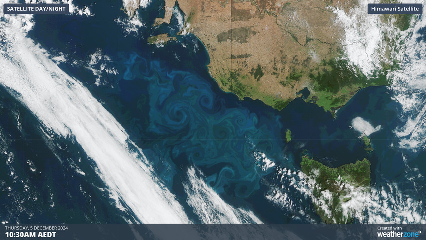 Image:  Trillions of tiny organisms filling their plates at the oceanic all-you-can-eat buffet. Source: Weatherzone