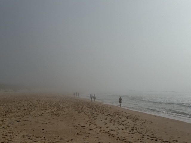 Image: Fog shrouding Dee Why Beach on Friday morning. Source: Felix Levesque