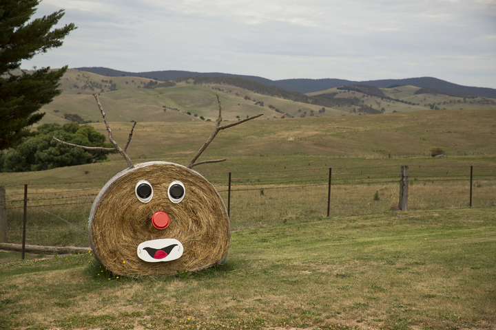 Image: Aussie Rudolph. Source: iStock / shells1.