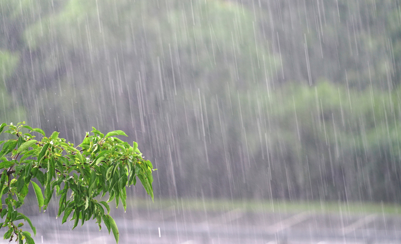 Image: Annual rainfall review. Source: iStock, xphotoz