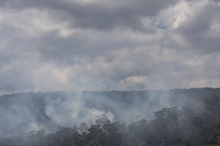 Image: Rain falling over a bushfire. Source: Istock/Kolbz