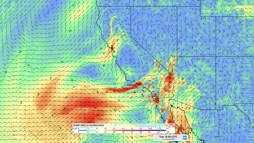 Image: Forecast 900 hPa winds on Tuesday, January 14, showing strong Santa Ana winds over southern California. Source: Weatherzone.