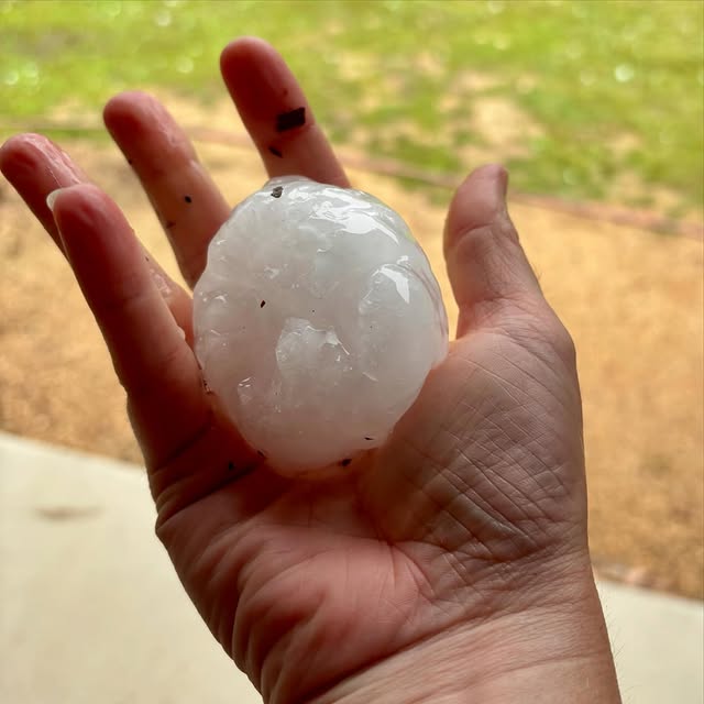 Image: Large hail that fell at Stanthorpe in Queensland during a severe thunderstorm on Tuesday afternoon. Source: @smashleaduff / Instagram.