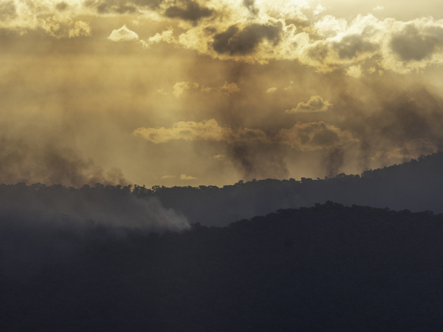 Image: Smoke is filling skies in parts of southeastern Australia this week. Source: iStock / Chris Gordon.