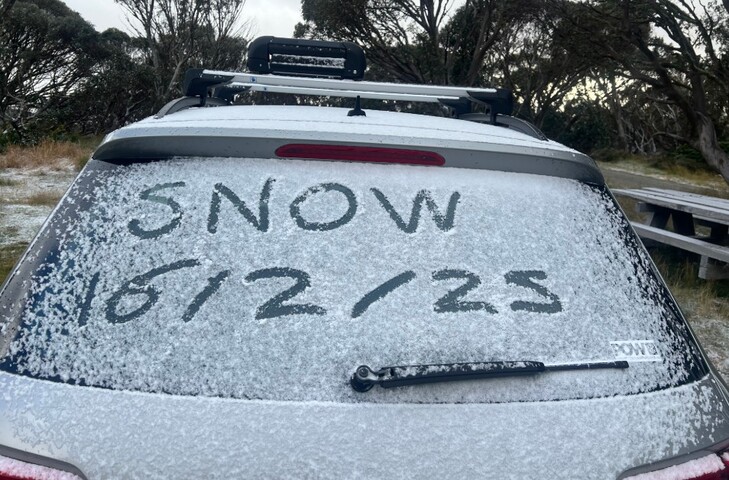 Image: Snowfall at Dinner Plain, Victoria, at an elevation of approximately 1580m, on Feb 16, 2025. Source: Lauren Boland