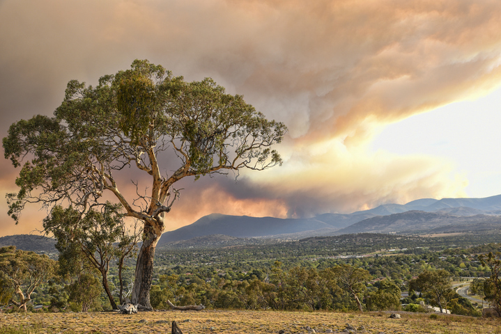 Image: Fires in Namadji Park, South of Canberra. Source: Istock/Daniiielc