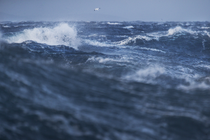 Image: A long period swell reached the NSW coast on Tuesday after travelling more than 4,000 km. Source: iStock / piola666